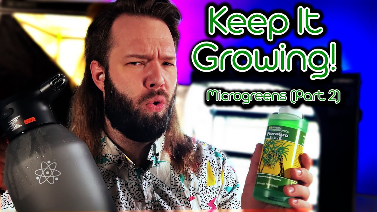 Taking Care Of Your Microgreens |  A Simple Guide To Growing (Part 2)