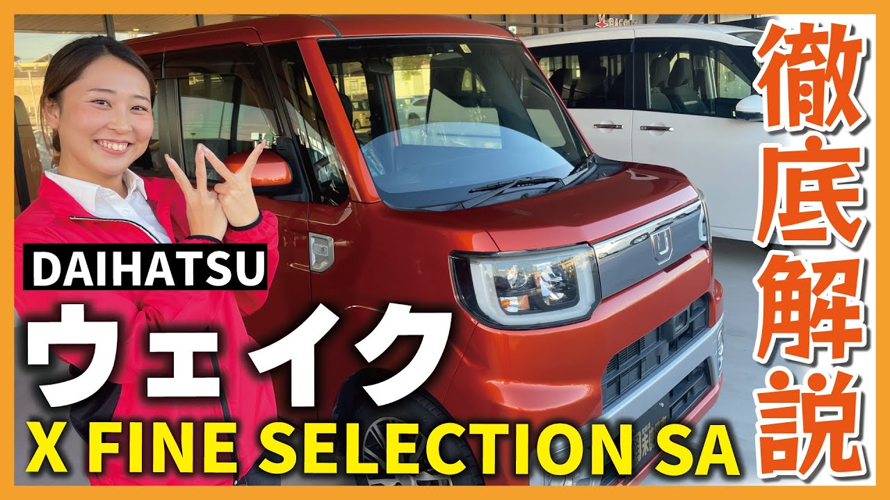 【ウェイク】アウトドアな軽自動車いっぱいあるけど…やっぱりウェイクでしょ！！驚くほど広くて快適！