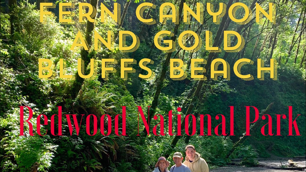 Fern Canyon & Gold Bluff&rsquo;s Beach - Redwood National Park