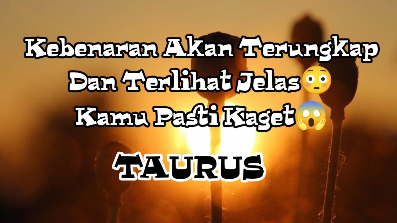 🌞Taurus🌞Kebenaran Akan Terungkap Dan Terlihat Jelas Kamu Pasti Akan Kaget😳😱