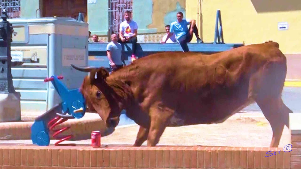 ⭐️ 2024 MONTSERRAT 19 Ganadería Ramon Benet