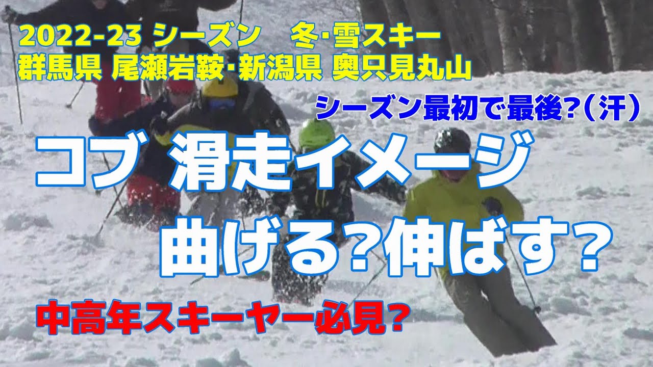 【コブ】 滑走イメージ 曲げる？伸ばす？中高年スキーヤー必見！