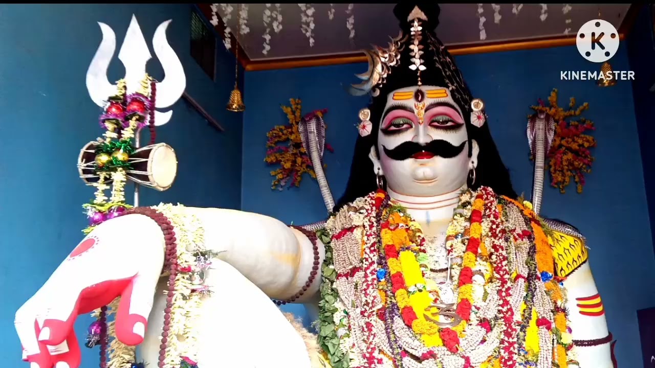 Beldanga Kartik Lorai 2024 / বেলডাঙ্গা কার্তিক লড়াই ২০২৪