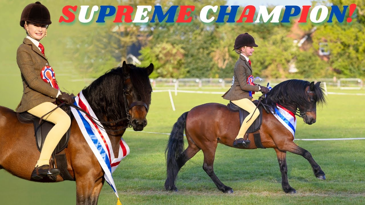 ПОБЕДА НА ТИТУЛЕ SUPREME CHAMPION НА НАШЕМ ШОУ STAY AWAY!