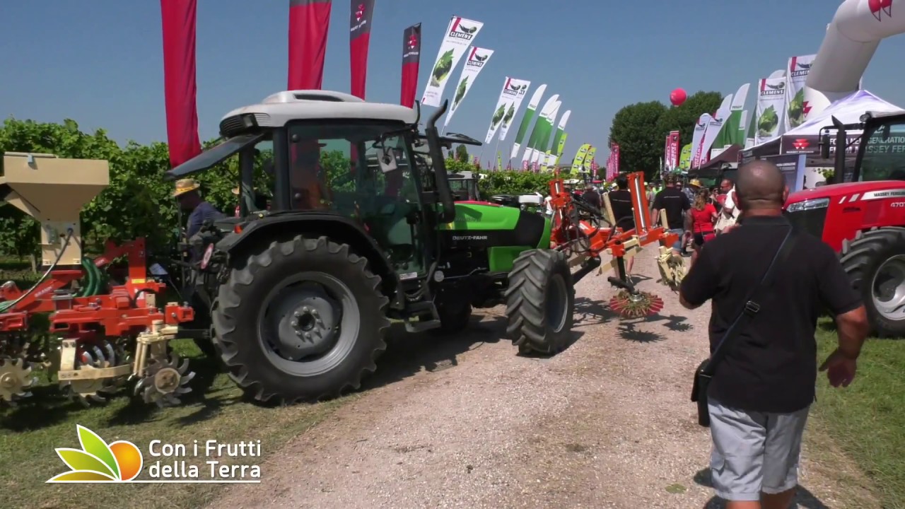 Enovitis in Campo 2018