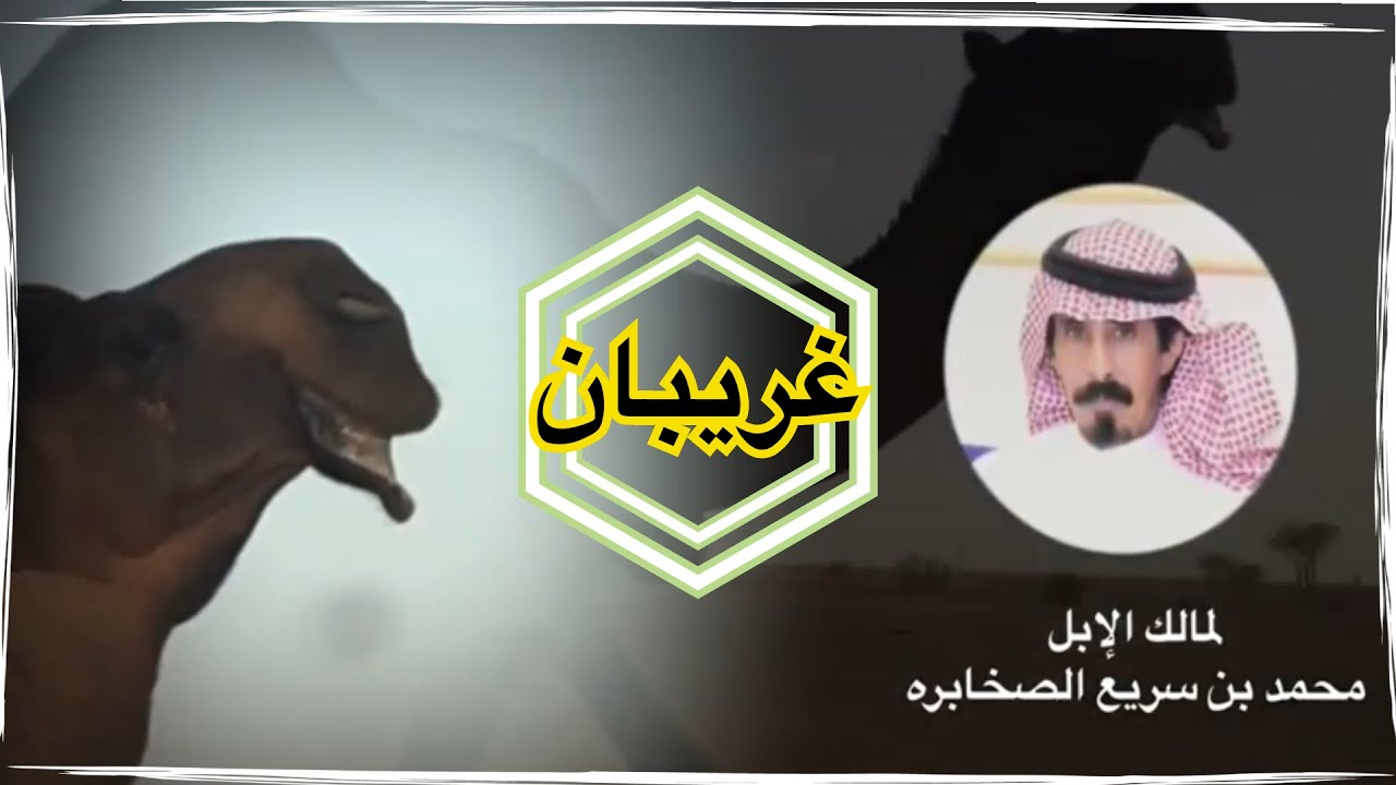 ((( غريبان )))
