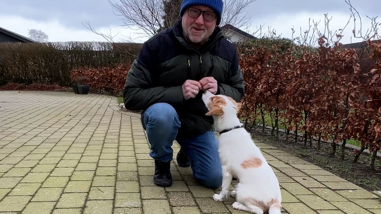 Start på et indkald af din hund