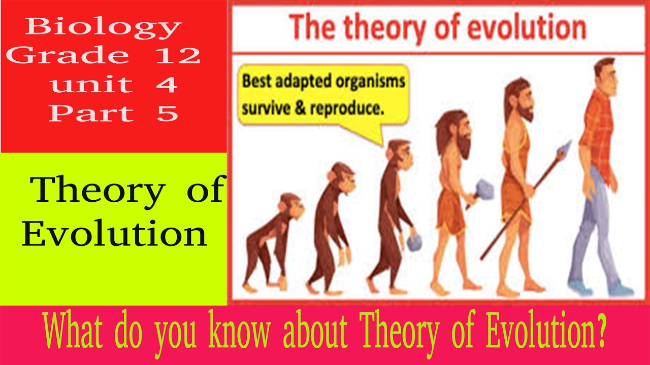 Theory of evolution | biology | grade 12 | unit 4 | Teacher Melaku