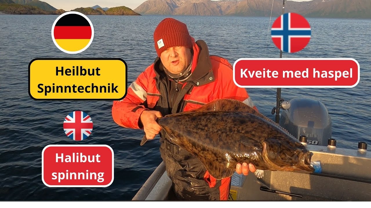 Halibut Spinning, Heilbutt mit Spinnruten, Kveite med haspelstang
