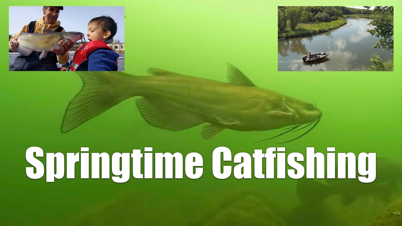 Catch More Spring Catfish - Pro Tips Revealed