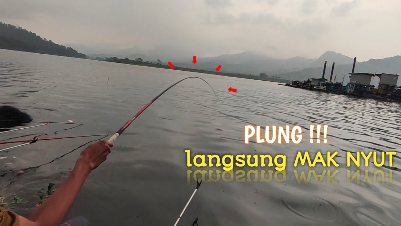 SEKALI PELETAN LANGSUNG DAPAT RESPON BEGINI BOSS‼️WADUK SELOREJO NGANTANG