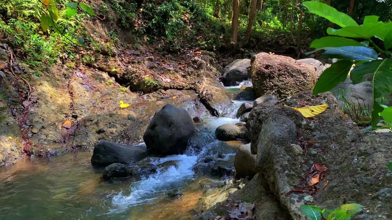 Calm River & Relaxing Water Sounds for Deep Sleep and Relaxation