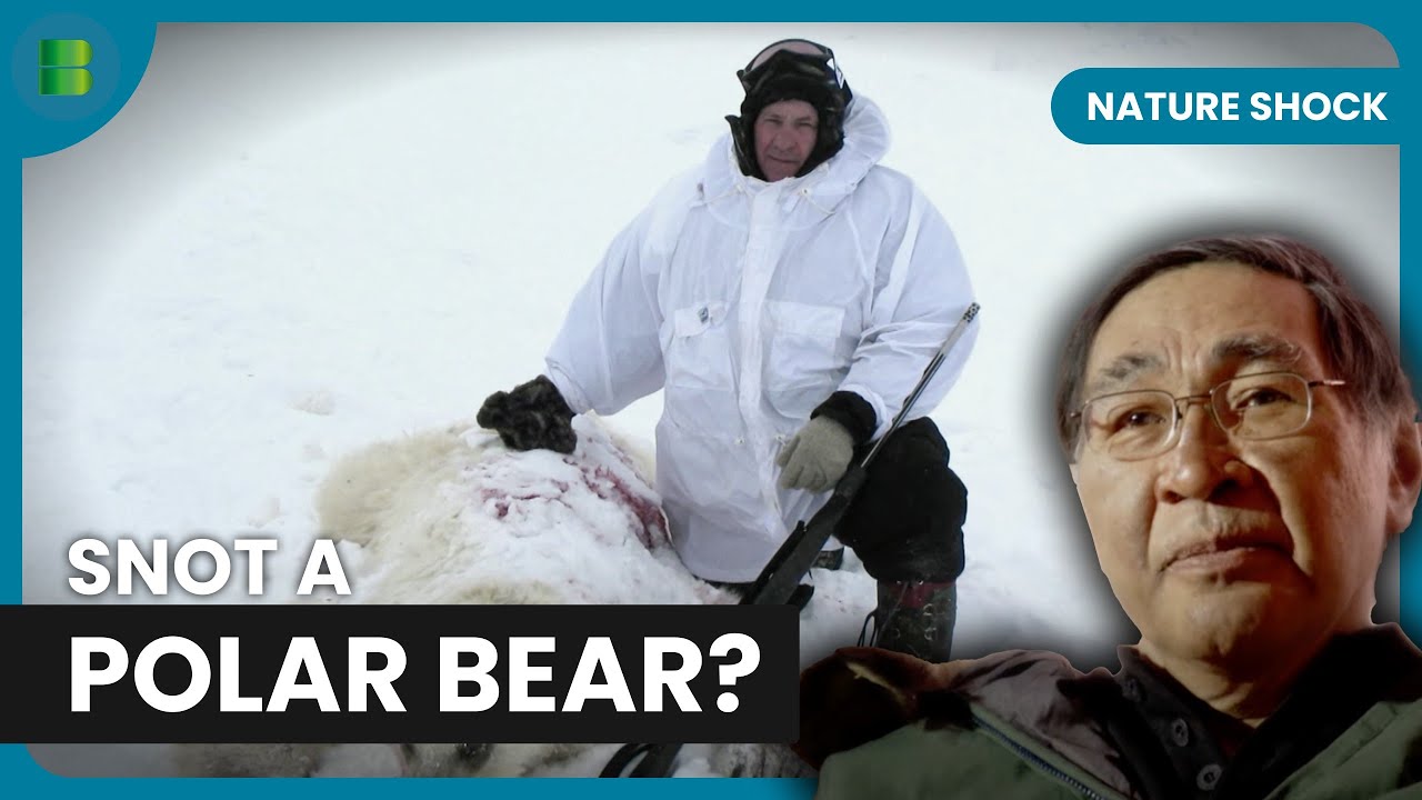 Hunter Shoots Mystery Bear That Stunned Scientists