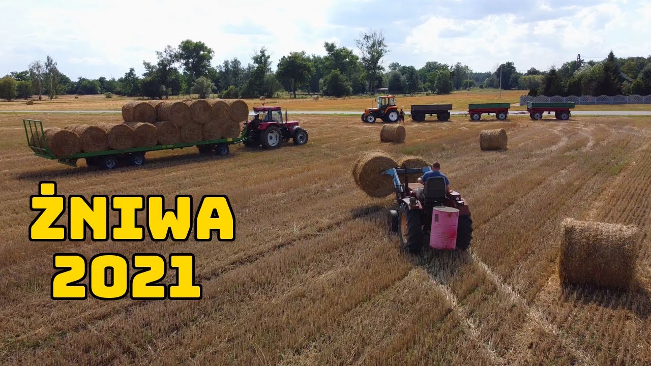 Żniwa 2021 ☆ Case 956xl, Renault 75.14, T25 i ładowarka #53