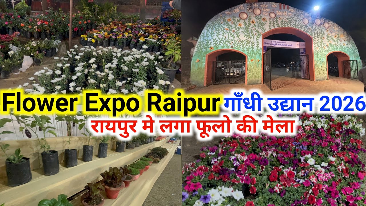 रायपुर मे लगा फूलो का मेला | Flower Expo Raipur 2026 | Raipur Gandhi Udyan Flower Expo 2026