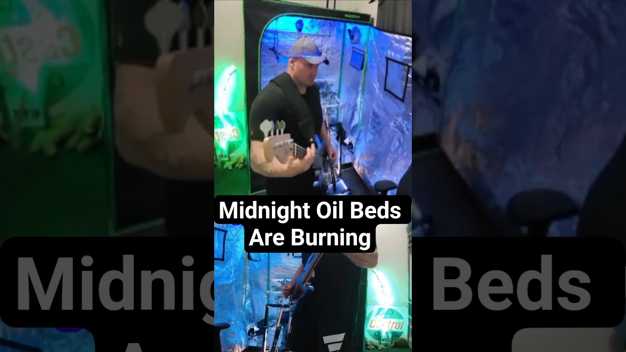 Shed Midnight Oil Beds Are Burning#fyp #foryoupage #bassplayer #metal #MidnightOil