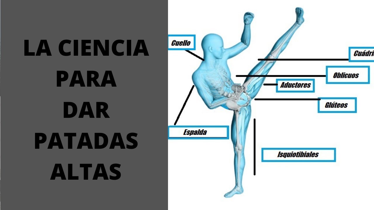COMO DAR PATADAS ALTAS- LA CIENCIA PARA DAR PATADAS ALTAS