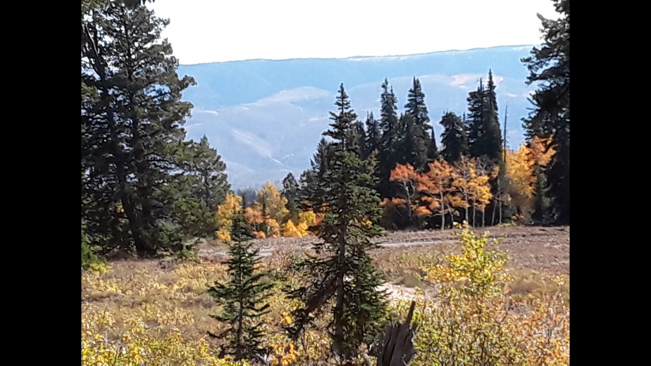Awesome Adventure Trail in Northern Utah | Blacksmith Fork | Beautiful Fall Color Area | Off-road