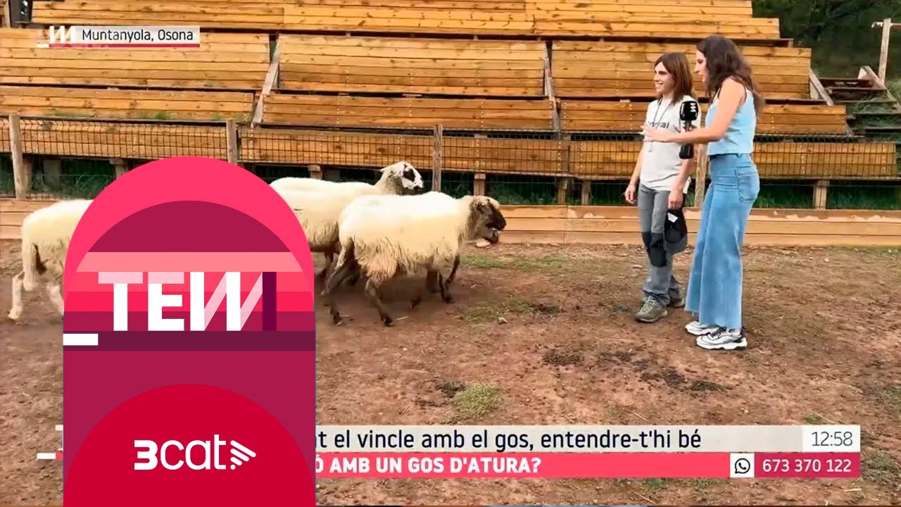 Mireia Colonques, la primera dona que guanya un concurs de gossos d'atura - Tot es mou