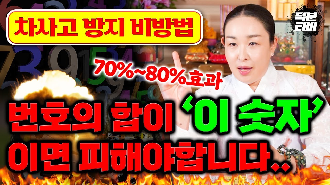 [차사고 방지 비방법] 차번호의 합이 '이 숫자' 이면 피하셔야 합니다..!🚫