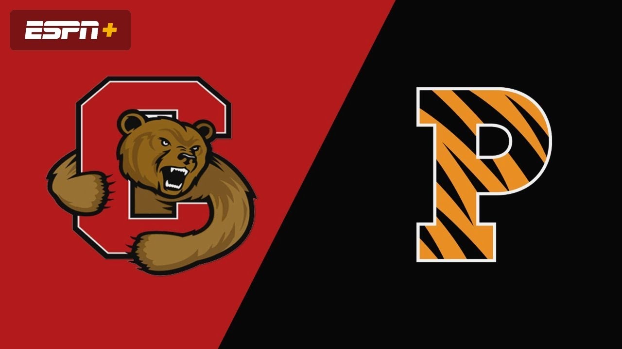 Princeton vs Cornell Lacrosse Highlights | 2022 College Lacrosse