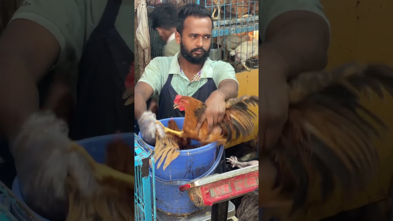 Deshi Chicken Selling in Meat Market