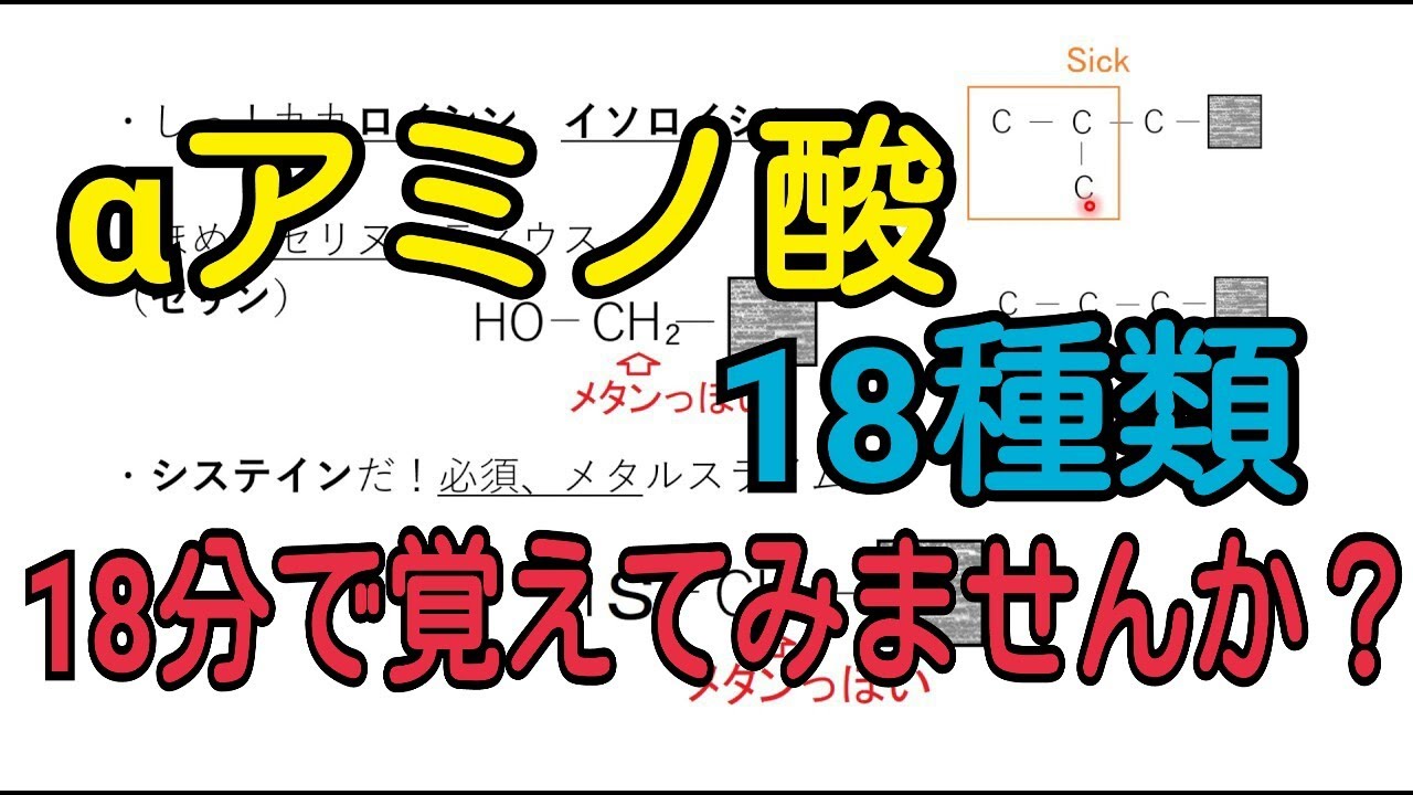 【高校化学】αアミノ酸の構造が誰でも描けるようになる魔法の動画