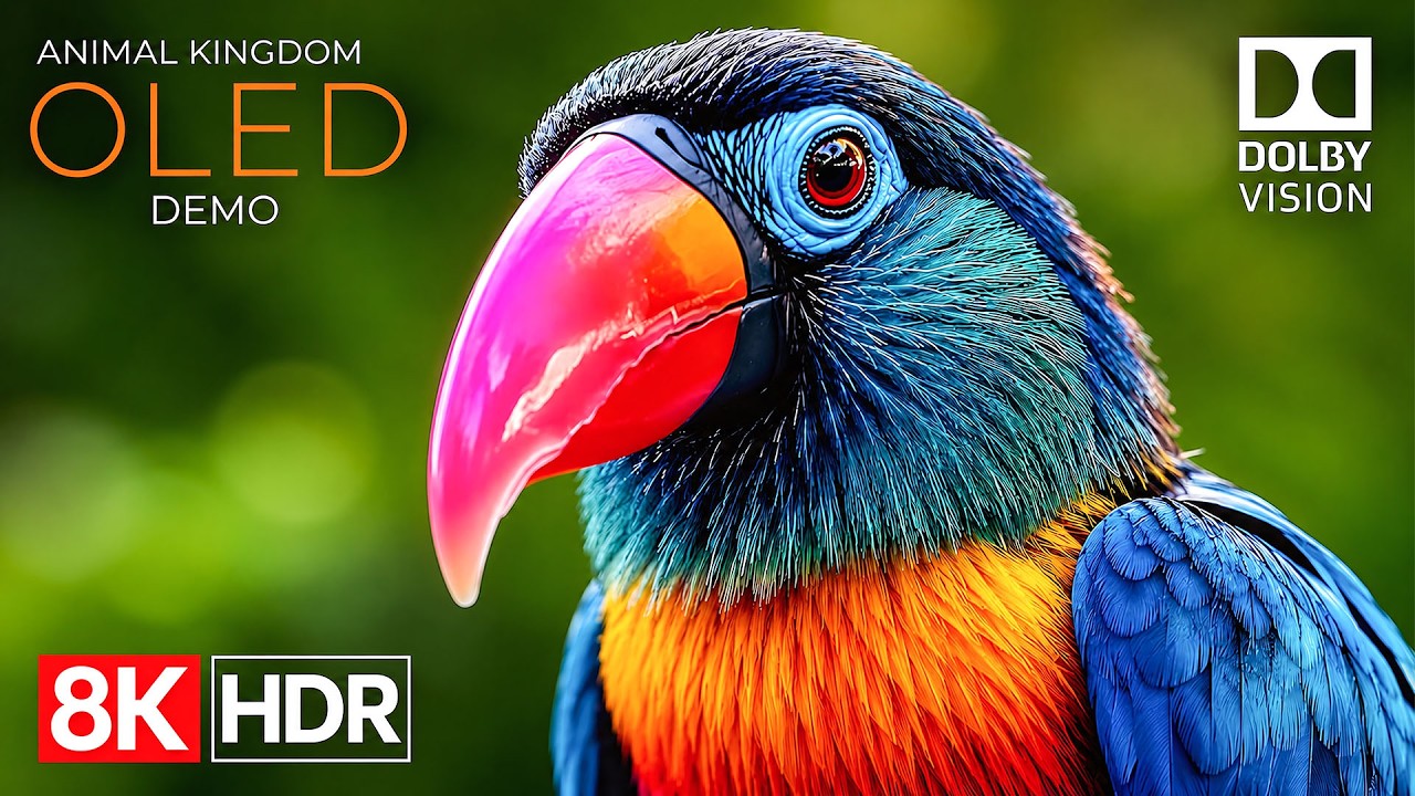 Extreme 16K Details HDR Display Test | 4K Video Ultra HD OLED Trailer (8K Ultra HD TV)