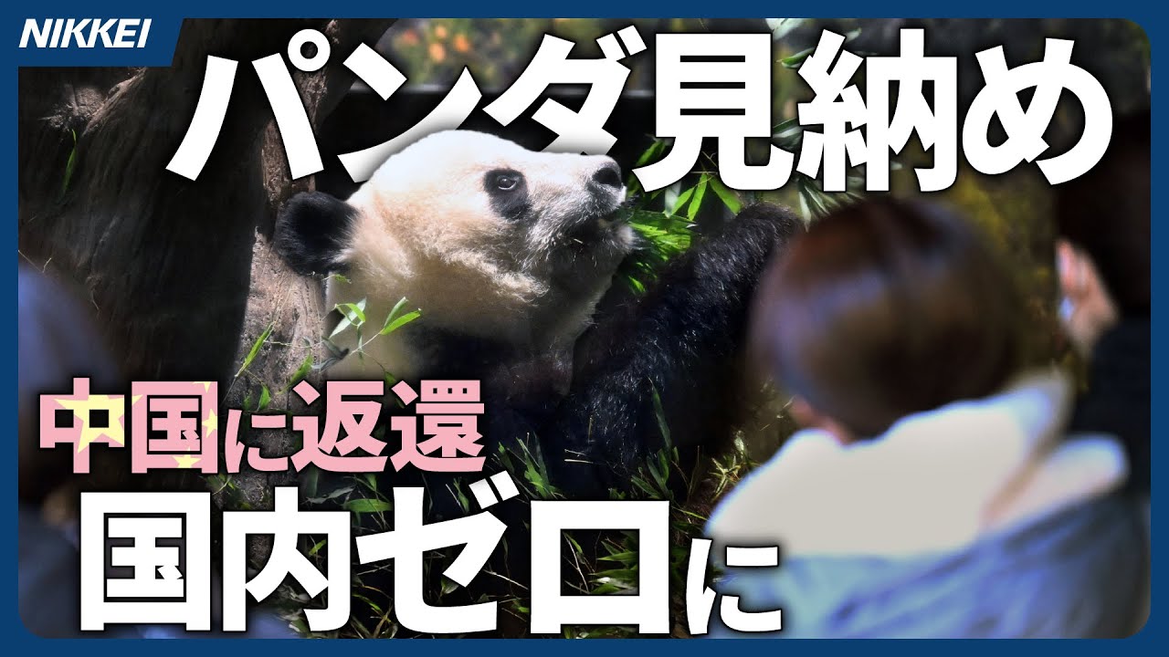 【双子にお別れ】　上野動物園のパンダ見納め、半世紀ぶり国内ゼロに