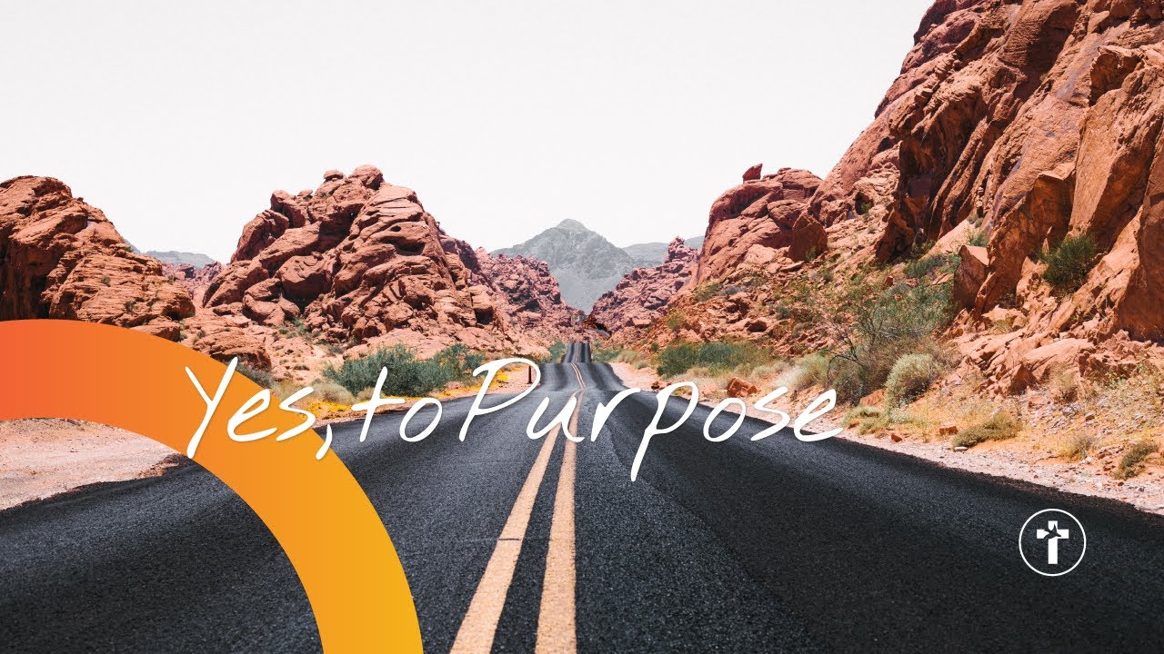 Yes, to purpose | Louis Kotzé