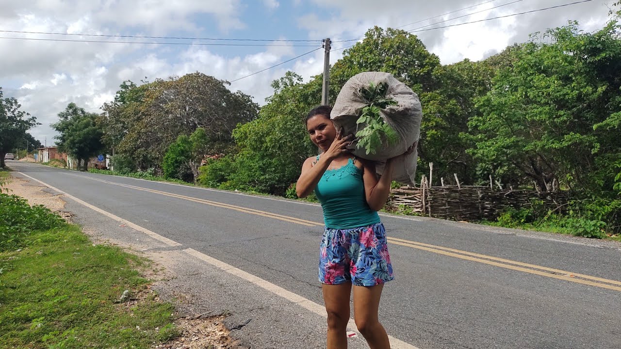 FOMOS PARA O MATO PEGAR ADUBO ORGÂNICO PARA NOSSA HORTA MANHÃ DE MUITO TRABALHO 