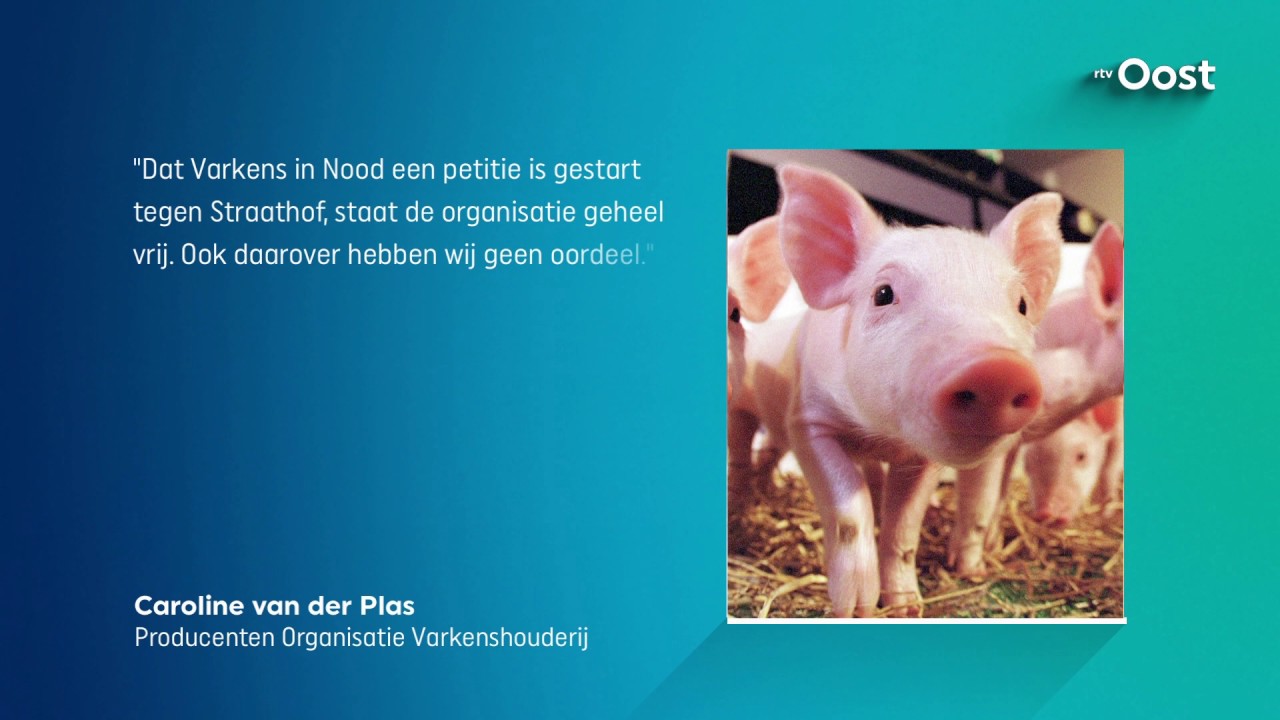 Massale steun voor petitie tegen vestiging mega-varkenshouder in Mariënheem