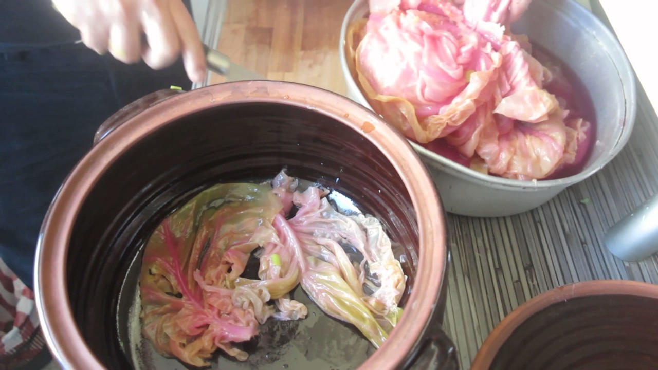 BULGARIAN DISHES SYRMI (leaves)