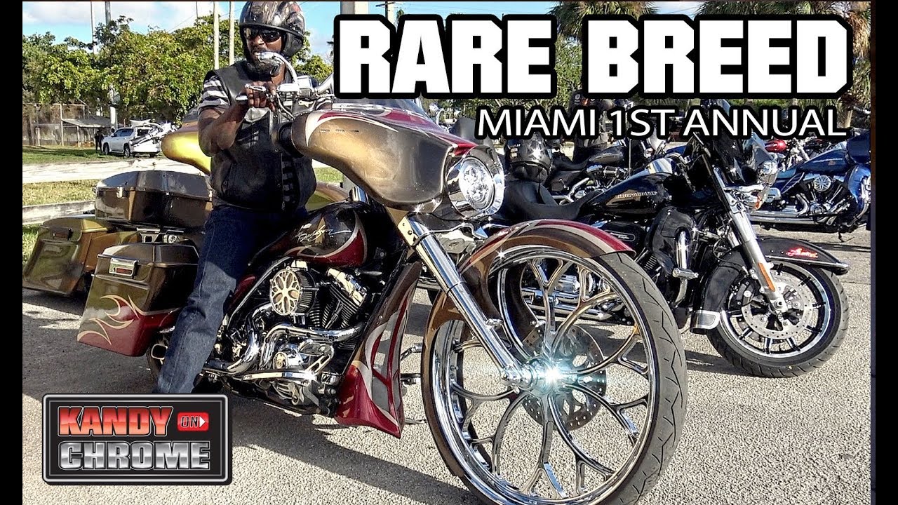 KandyonChrome: Первая ежегодная встреча Rare Breed MC MIAMI