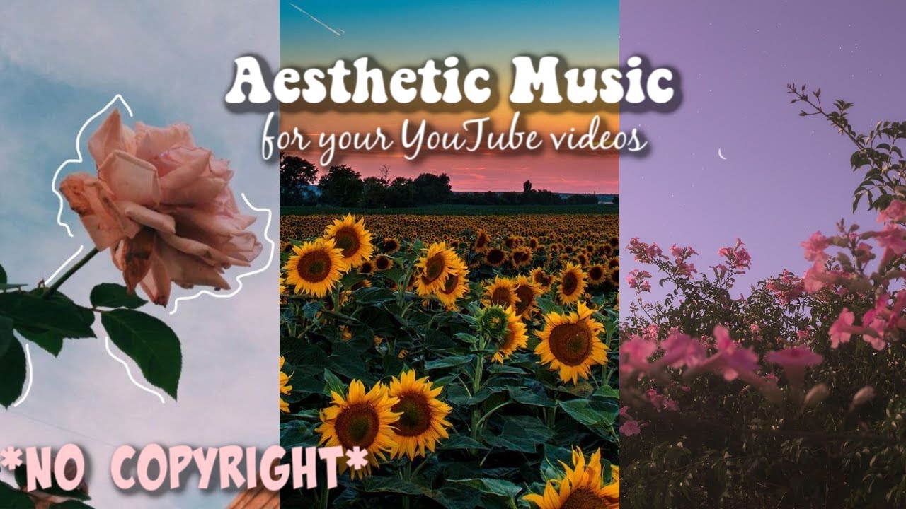 Aesthetic COPYRIGHT FREE Music/Audios!