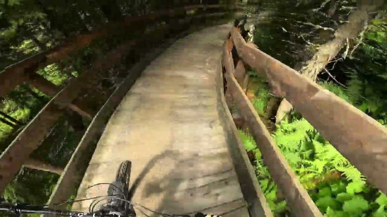 Bike park leogang alte Schmied Trail   #mtb #bikelife #mountainbike #downhill #leogang 