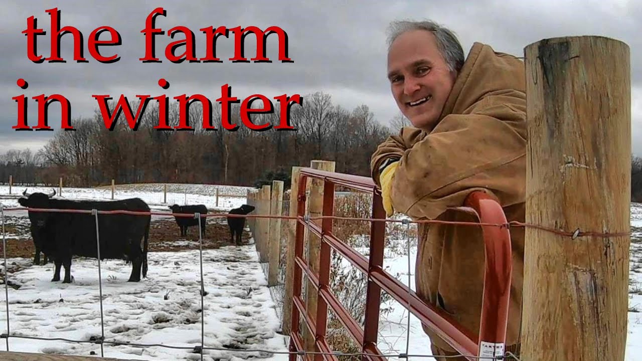 winter small farm tour | animals, barns, fields and equipment
