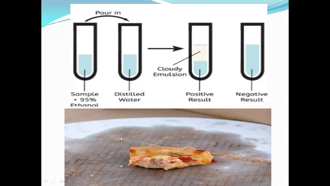 life sciences Grade 10 : Lipids - Fatty Acids, Triglycerides:  (ThunderEduc) by M.Saidi
