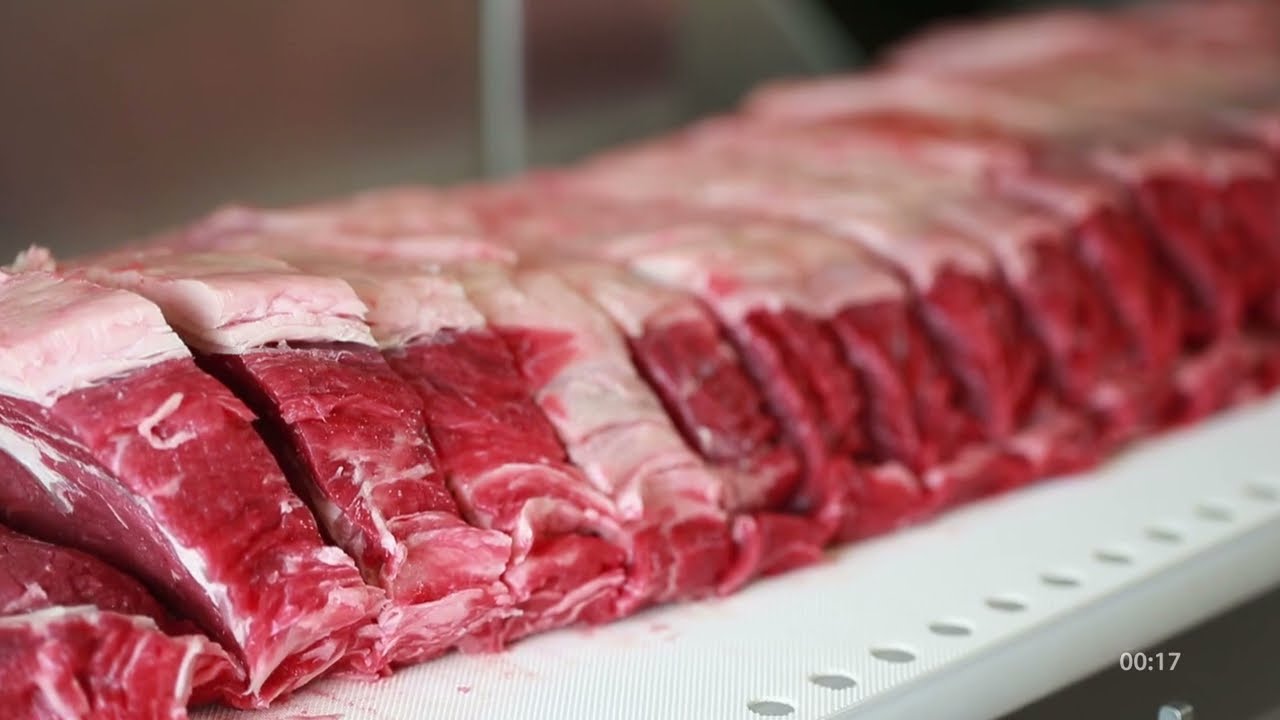 I Cut 130 Portion Cutter – 돼지고기 정중량 포션커터, 정중량 슬라이서, 정량 포션커터, 고기 포션커터, 마렐 포션커터, 돼지고기 전용 포션 커터