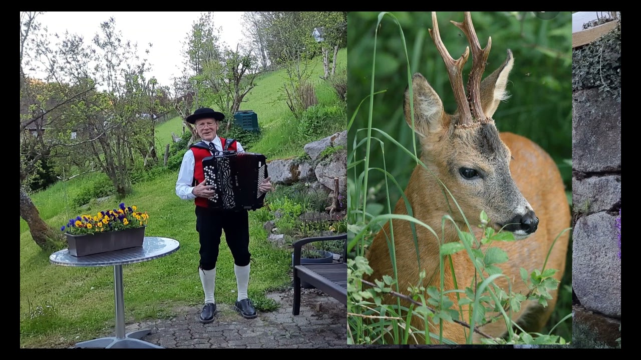 Zwei rehbraune Augen