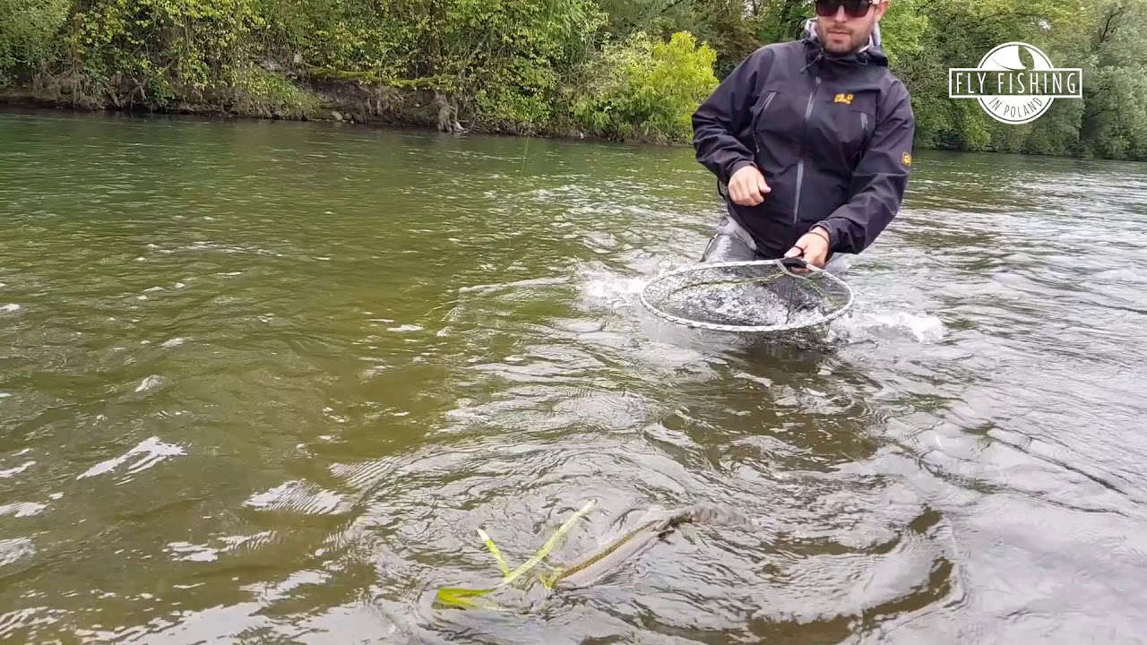 Fly Fishing in Poland August 2019
