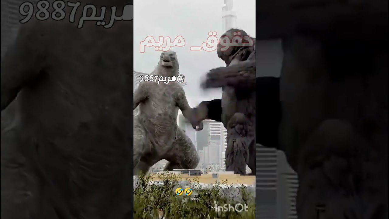 ✨تجميعة مقاطعي🌟