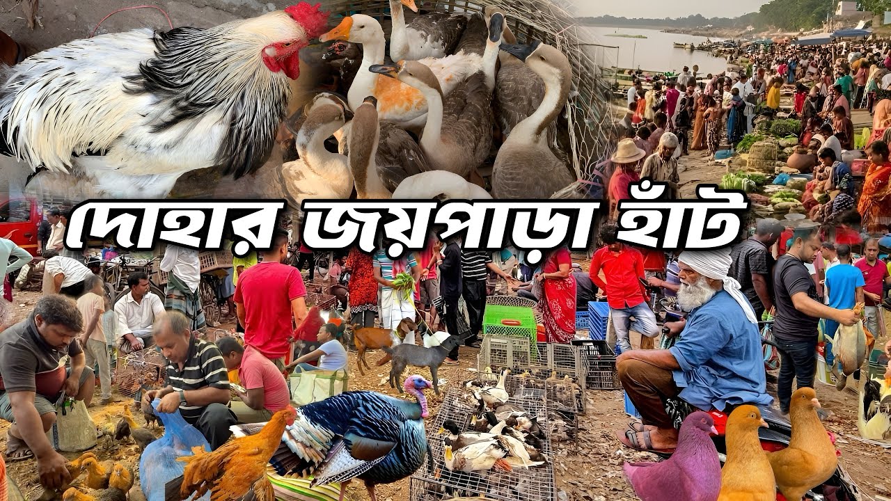 What is currently available at the famous Joypara market in Dhaka? || Village market in Dhaka Dohar Joypar 😊