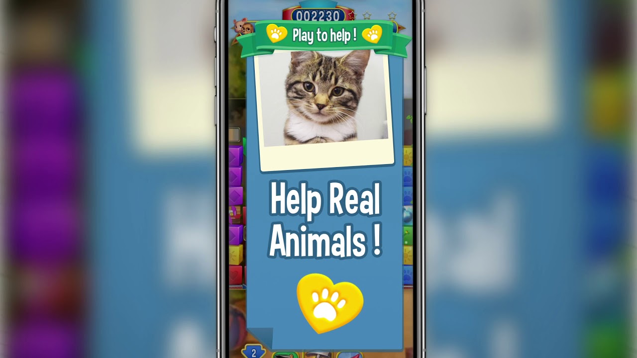 Pet Rescue Saga partners with Battersea to help UK animals