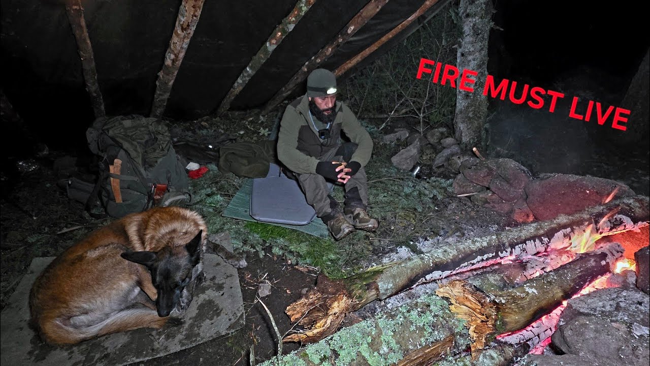 If the Fire Went Out, I Would Freeze | Silent Forest Camp with My Dog