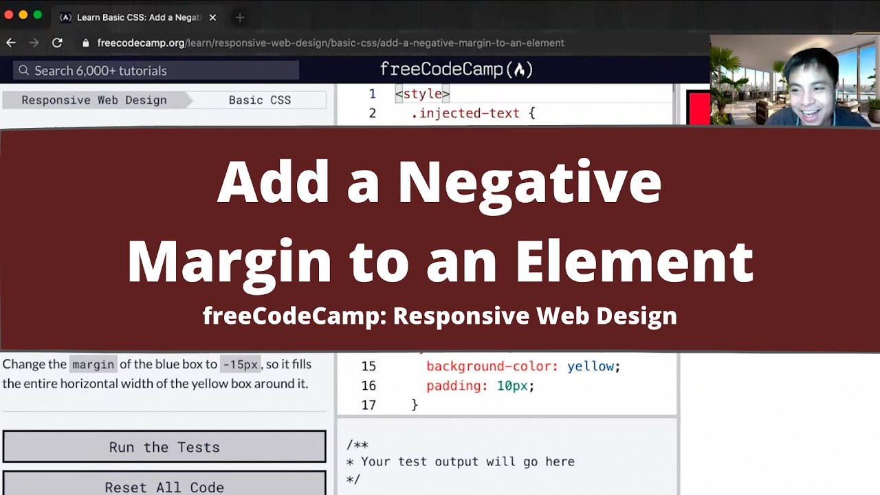 Add a Negative Margin to an Element (Basic CSS) freeCodeCamp tutorial