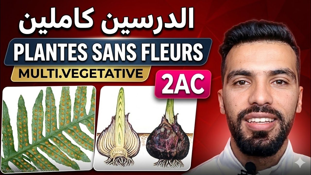 SVT 🌼 la reproduction sexuée chez les plantes sans fleurs 🍁 multiplication végétative asexuée
