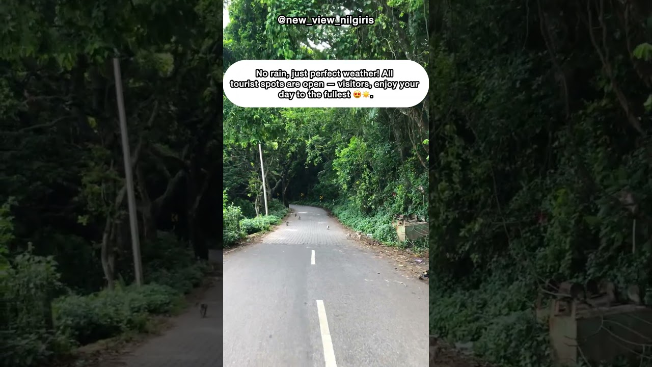 Ooty weather today 12/09/2025 #newviewnilgiris / Ooty climate today / Nilgiris climate today