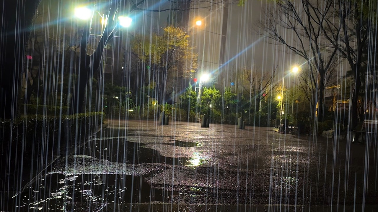 아무도 없는 어두운 거리에서 듣는 차분하고 편안한 빗소리, 불면증 해소의 최고의 사운드, 백색소음 ASMR