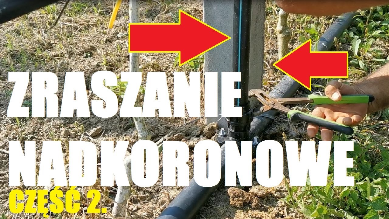 Sadowniczy Vlog #68/ Zraszanie nadkoronowe w sadzie - cz.2.